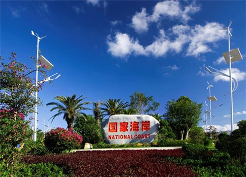 厨小厨瓦香鸡米饭