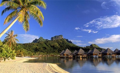 肚子里有料港式点心