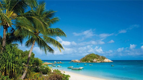 摇滚炒鸡店铺效果图，摇滚炒饭加盟费多少