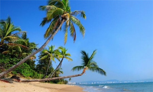 沭阳县开一家卷饼店要投多少钱，在沭阳县加盟满婆婆现烤牛肉卷饼什么位置客源多