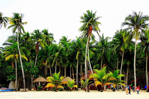 原子灰加盟投资开店什么品牌风险低，原子灰厂家直销