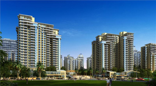 莎莉最后和谁在一起（莎莉是谁）