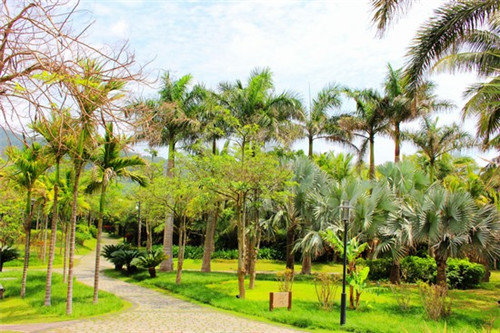 荣县机器人防护服加盟和直营的区别有哪些（机器人防护服厂家排名）