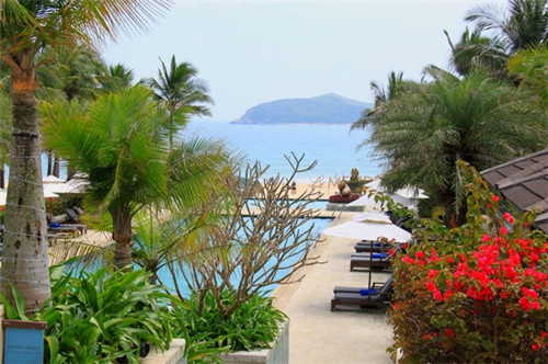 炒油菜面筋家常做法（油菜炒面筋球怎么做好吃）