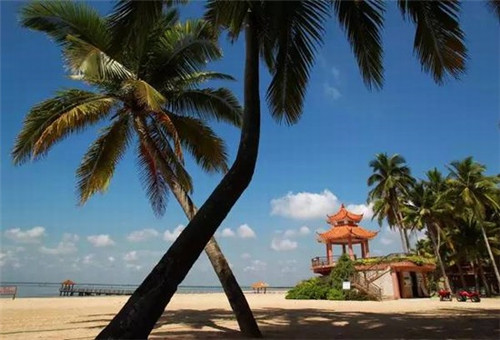 净斑素品牌排行榜（净斑素效果怎么样）