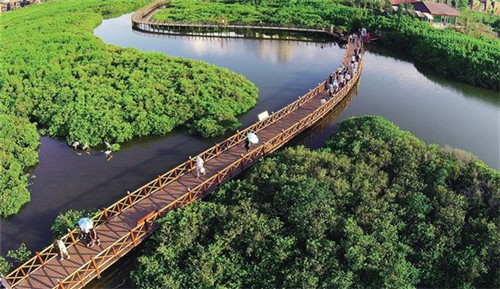 洋 阳 扬起名那个好（扬和洋和阳哪个用作名字）