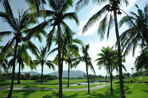 文登火锅店设计施工招标，文登火锅店设计施工